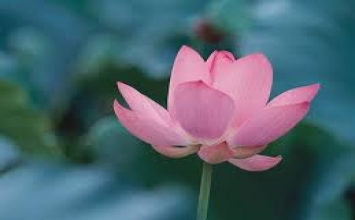 Cư sĩ Bàng Long Uẩn
